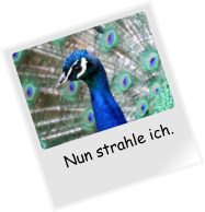 Nun strahle ich.